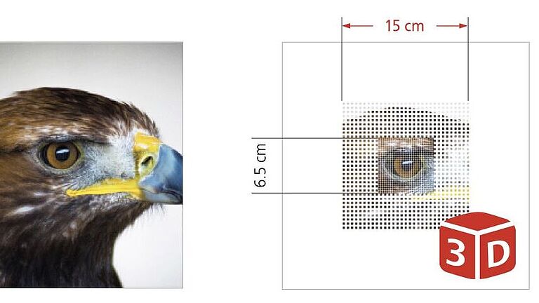 OCTAVIUS Detector 1600 MR: High spatial resolution