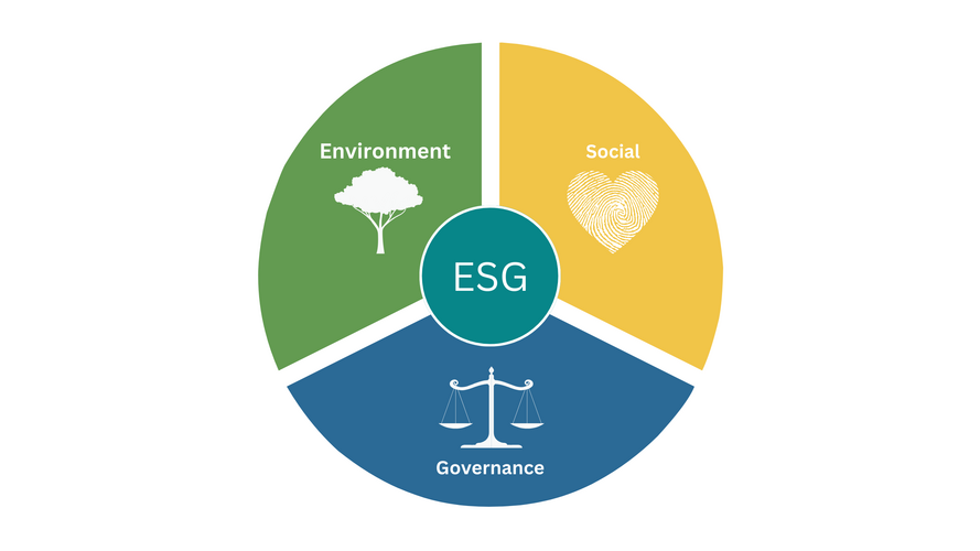 Sustainability Metrics: Environment, Social, Governance