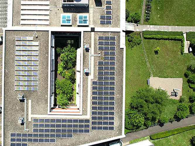 Empowering eco-friendly mobility